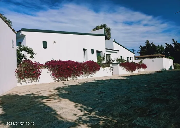 Falsa Pimienta - Sólo Familias Y Parejas * Conil De La Frontera