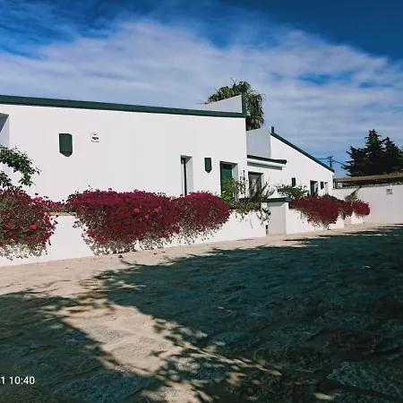 Falsa Pimienta - Solo Familias Y Parejas * Conil De La Frontera